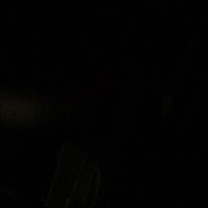 Meet your Posher, Donavin